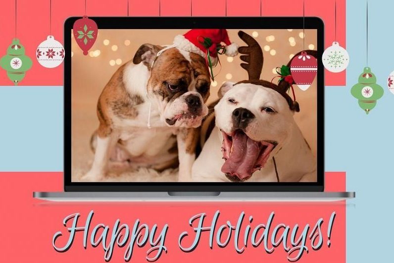 holidays holidays image